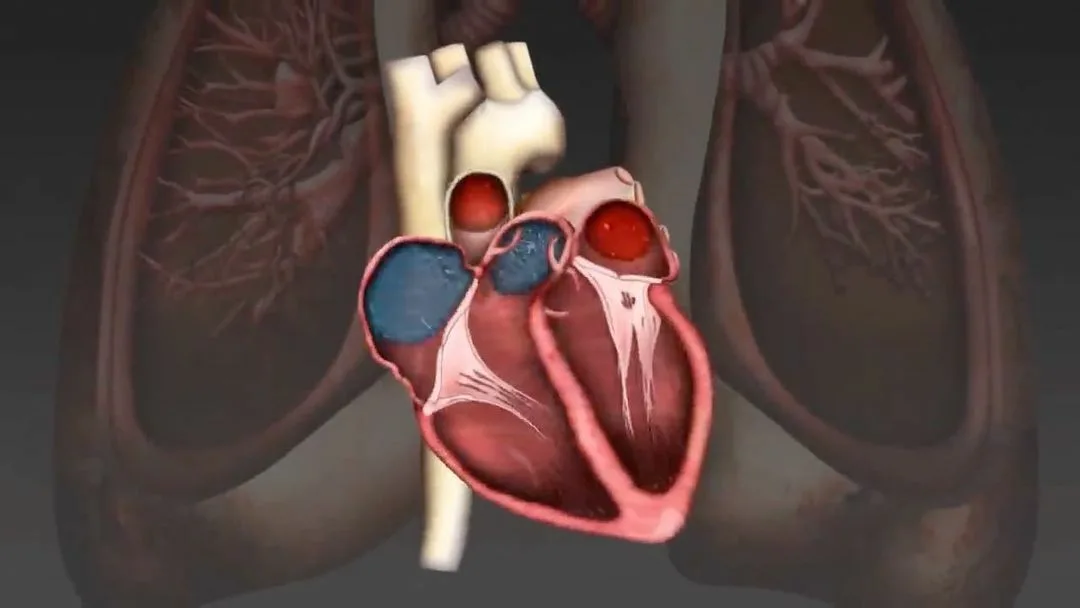 نصائح لمرضى القلب 